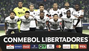 Próximo adversário do Bahia no Brasileirão, Botafogo avança de fase na Libertadores