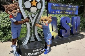 Cruzeiro chega a Assunção para a final da Copa Sul-Americana contra o Racing Club